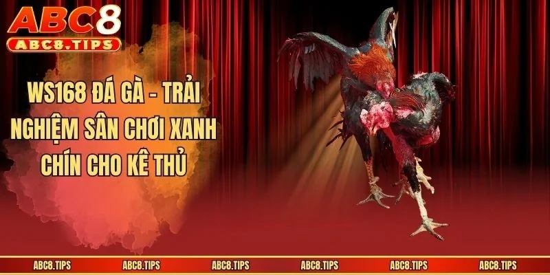 WS168 Đá Gà - Trải Nghiệm Sân Chơi Xanh Chín Cho Kê Thủ
